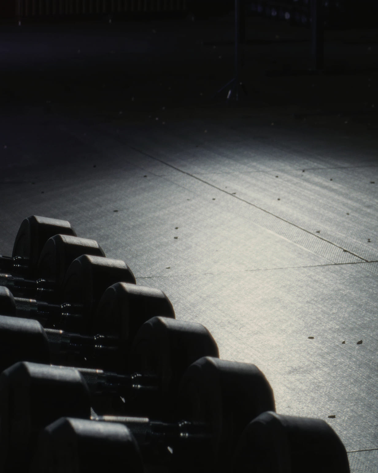 A row of dumbbells racked along the edge of an empty gym floor, a shaft of light falling across the rubber matting beyond them.
